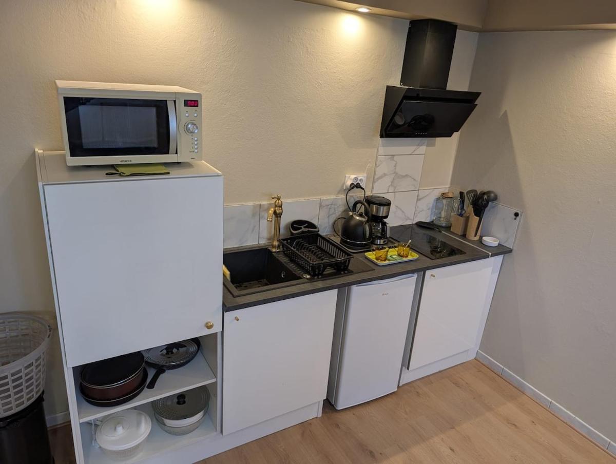 Appartement Verdoyant Au Bord Du Lac Leman Entre Evian Et Thonon Dans Une Villa Publier Dış mekan fotoğraf